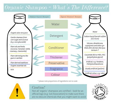 Mane magic shamp0o infographics